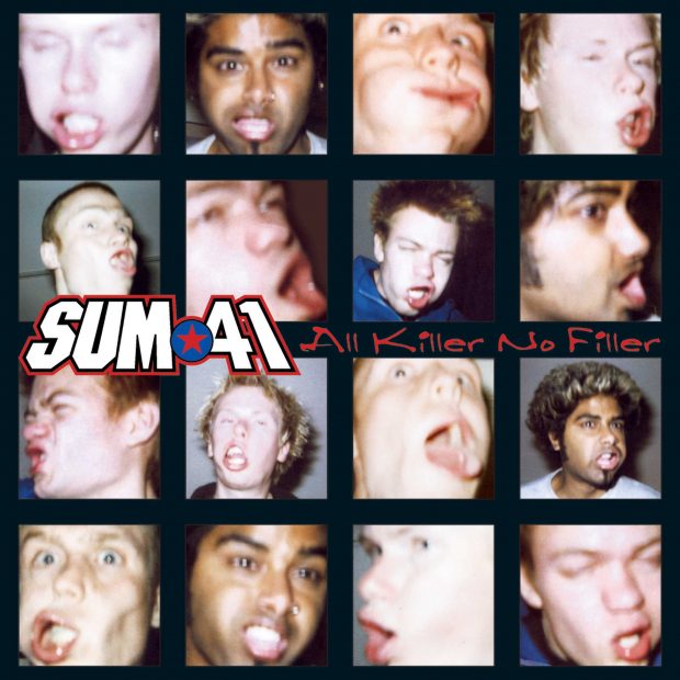 Sum 41 Vinyl